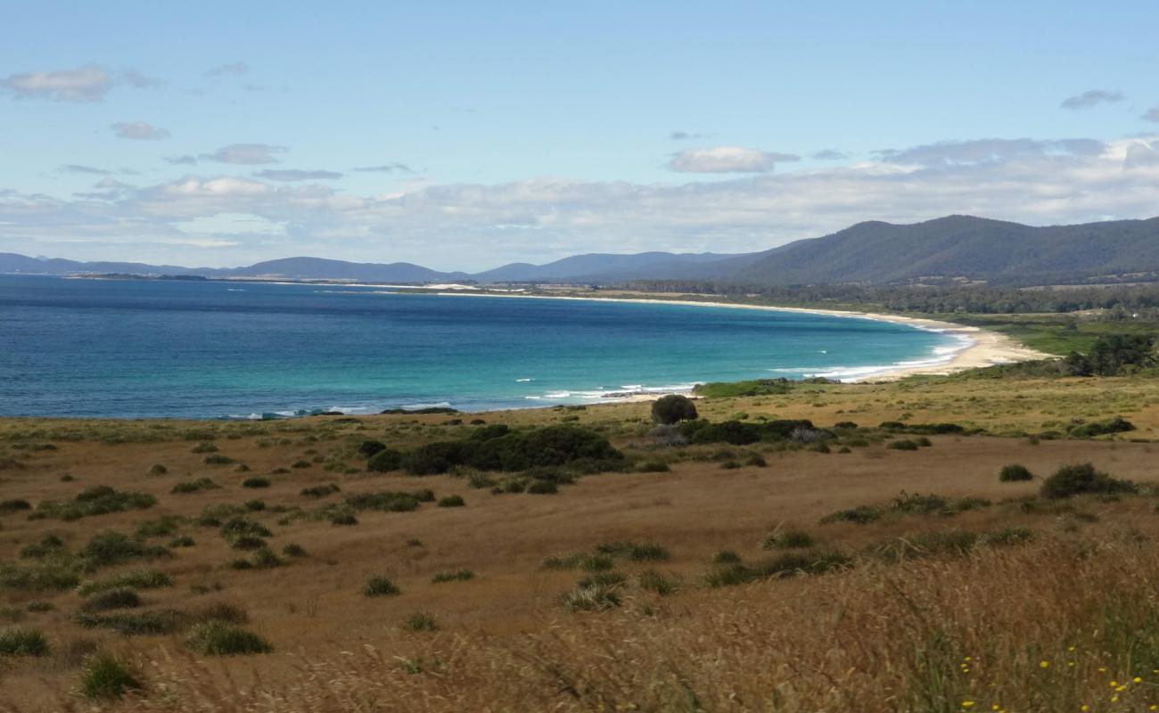 Photo of Seymour Beach with bright sand surface