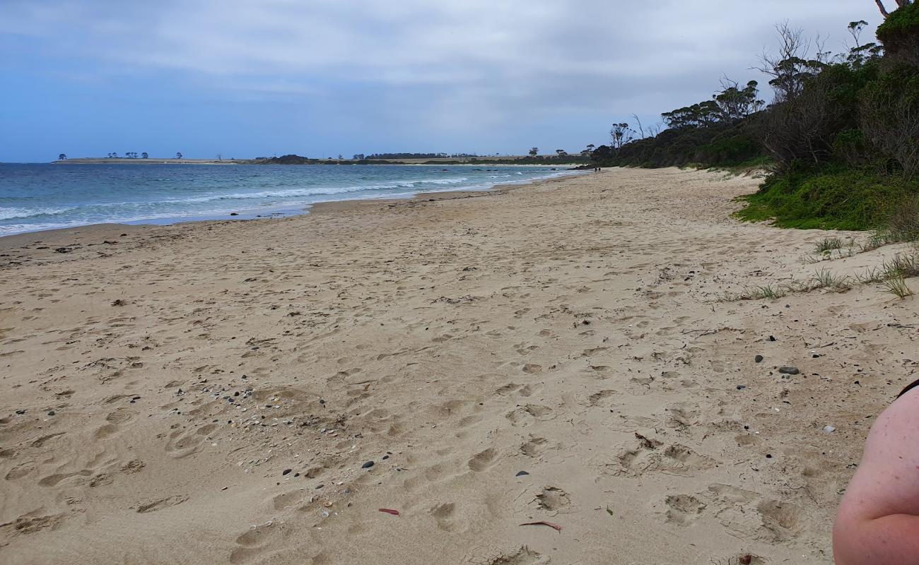 Photo of Mayfield Beach with bright sand surface