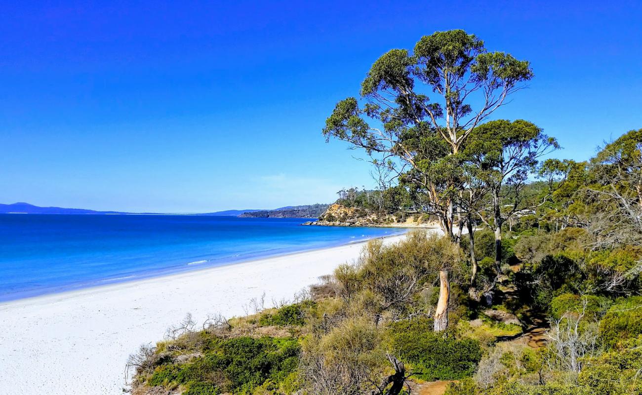 Photo of Stapleton Beach with bright sand surface