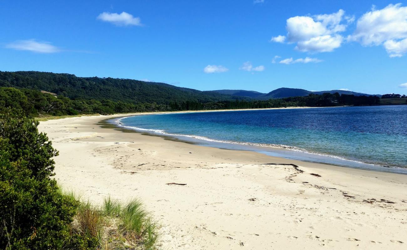 Photo of Safety Cove Beach with bright fine sand surface