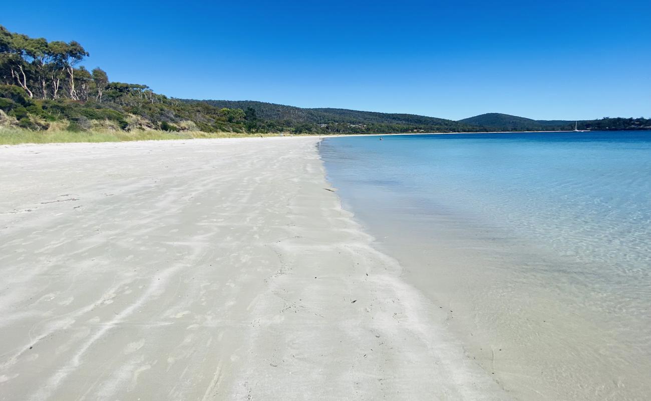 Photo of White Beach with bright sand surface