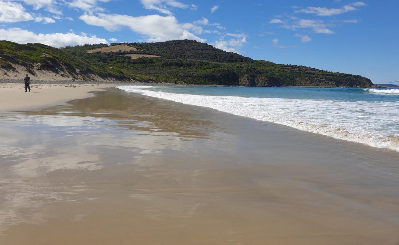 Photo of Roaring Beach Beach with light fine pebble surface