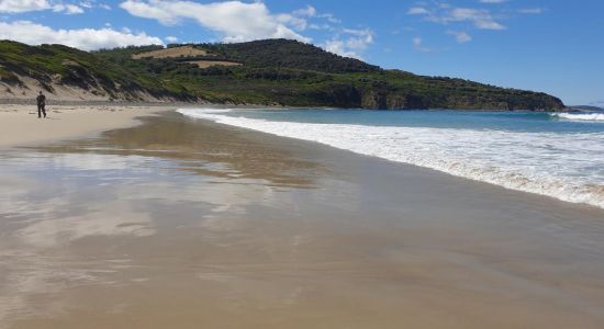 Roaring Beach Beach