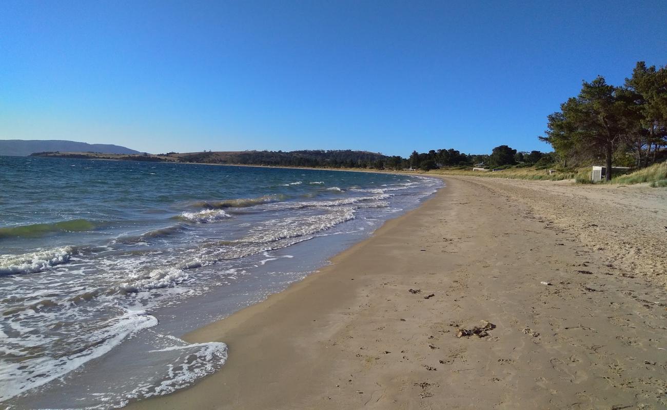 Photo of South Arm Beach with bright sand surface