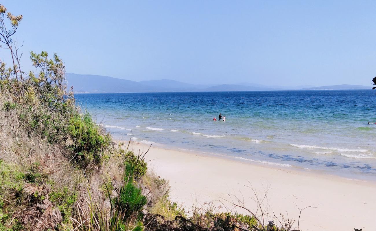 Photo of Ninepin Point Beach with bright sand surface