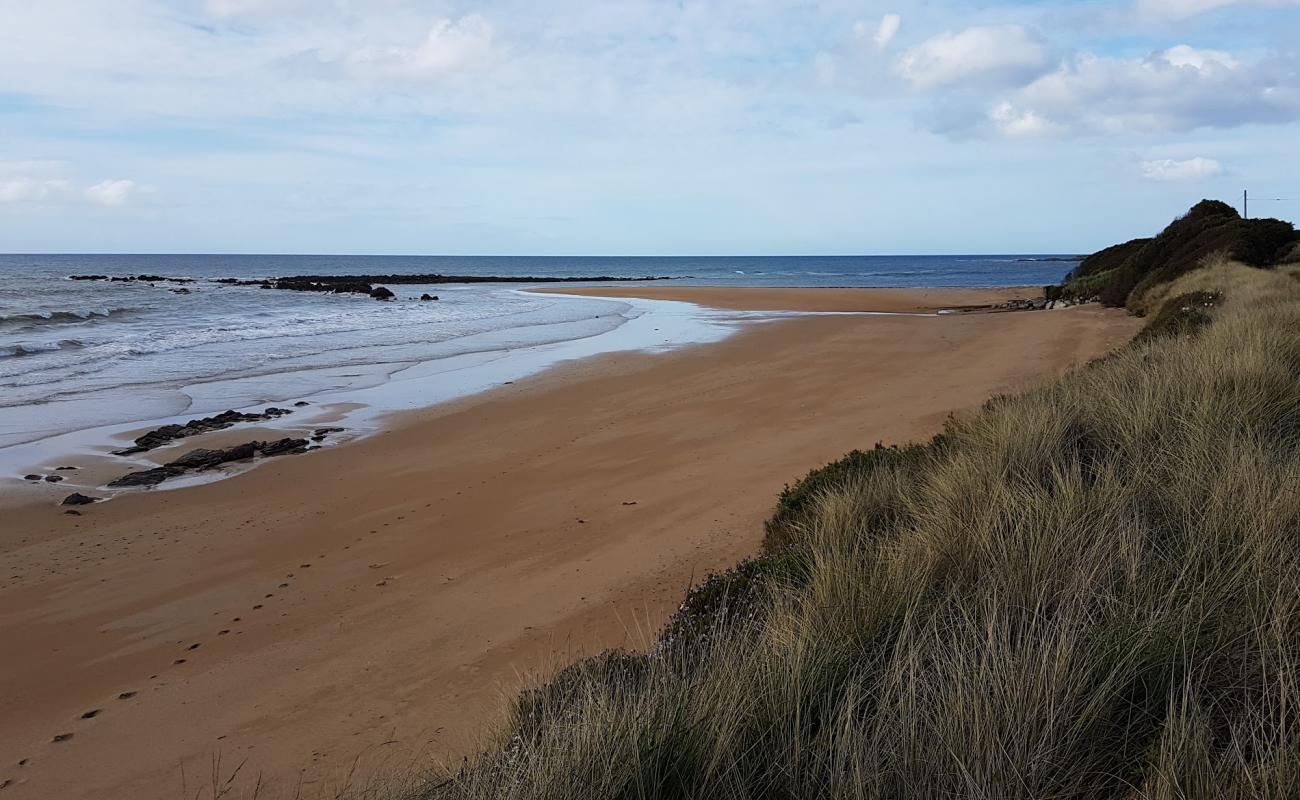 Photo of Cooee Beach with bright sand surface