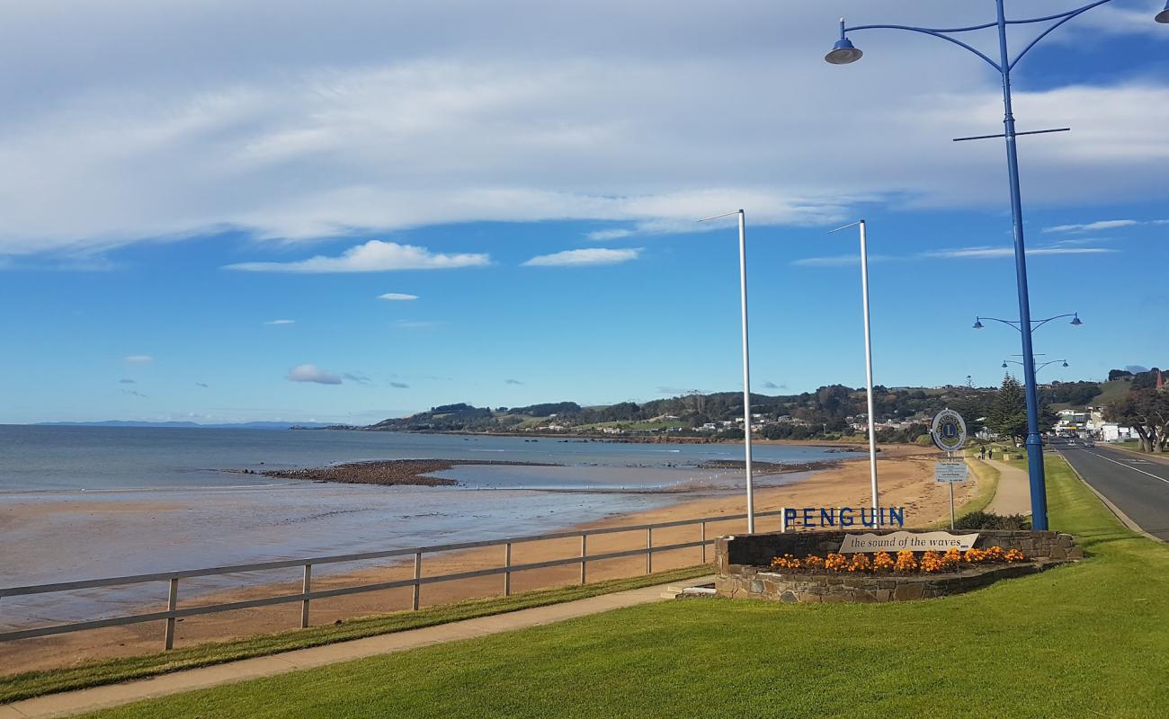 Photo of Penguin Beach with bright sand surface