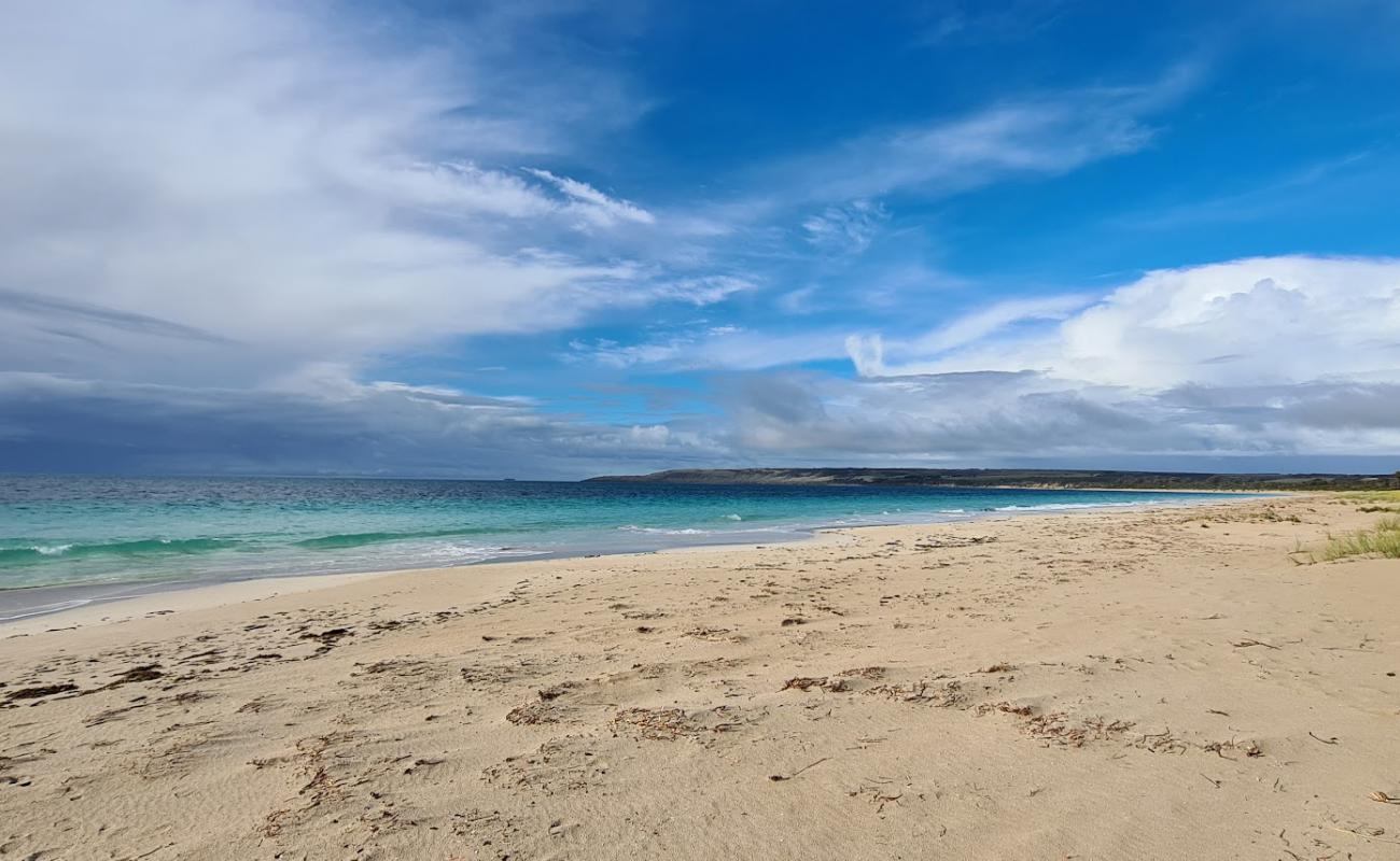 Photo of Antechamber Bay Beach with bright sand surface