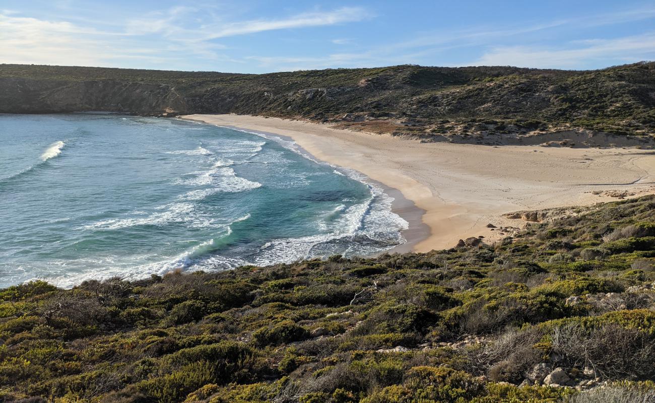 Photo of West Bay Beach with bright sand surface