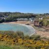 Councillors Beach