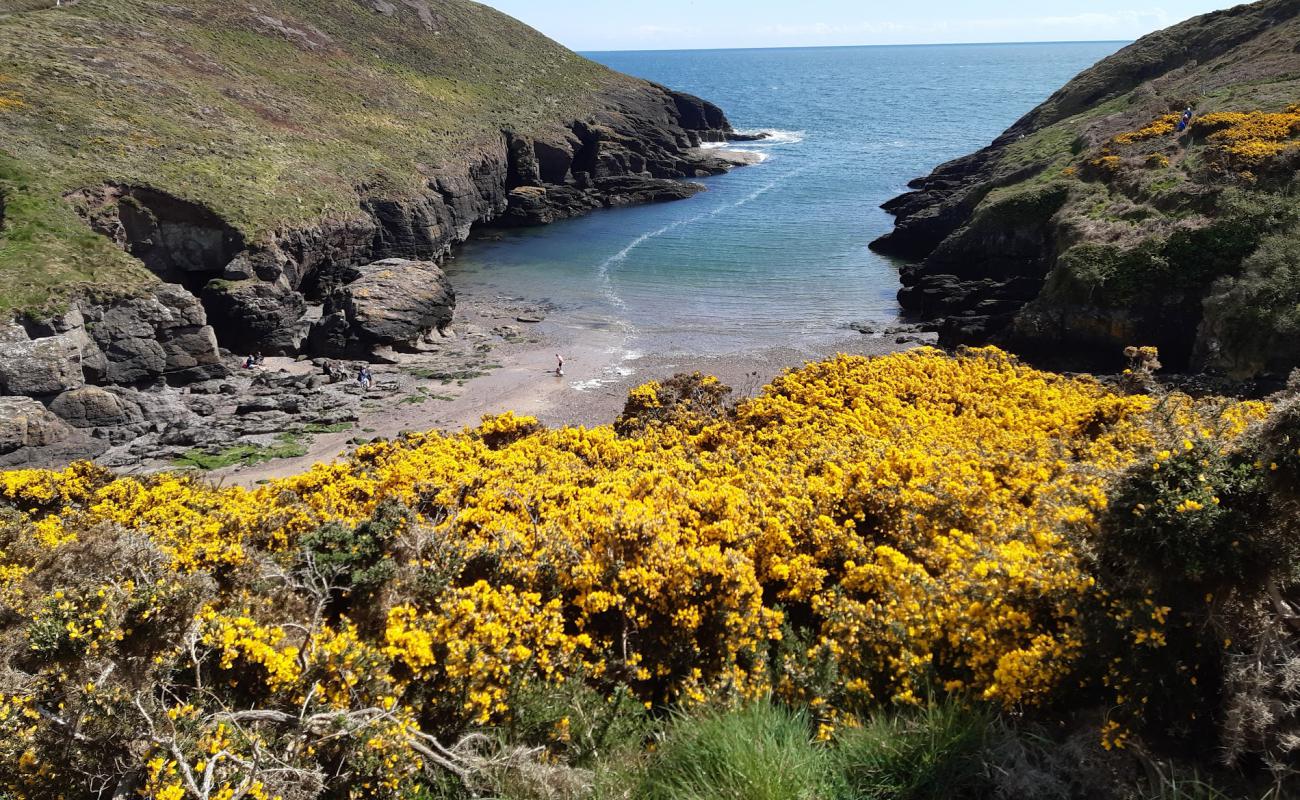 Photo of Portally Cove Beach with bright sand & rocks surface