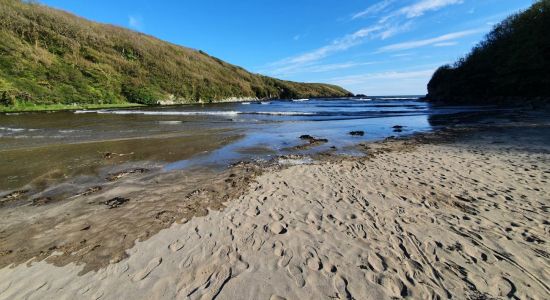 Stradbally Cove Beach