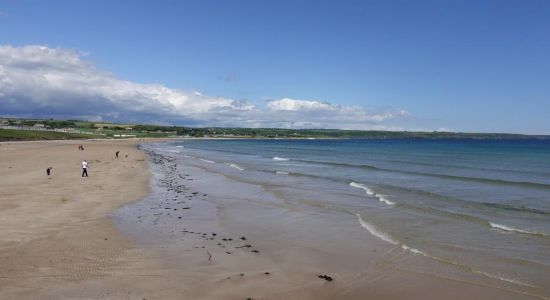 Ardmore Beach