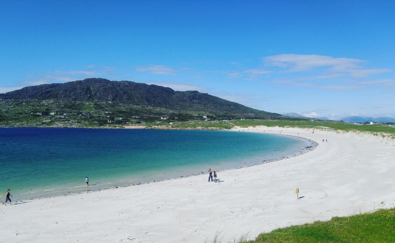 Photo of Dogs Bay Beach with white fine sand surface