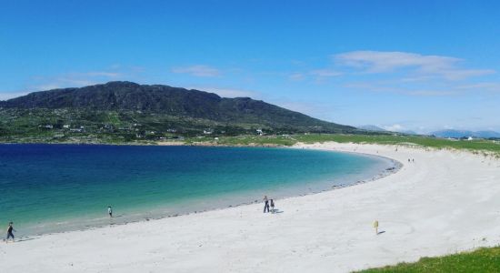 Dogs Bay Beach