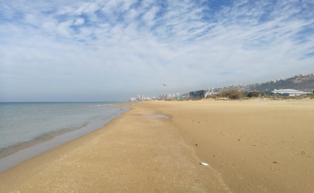 Photo of Hof HaCarmel with bright sand surface