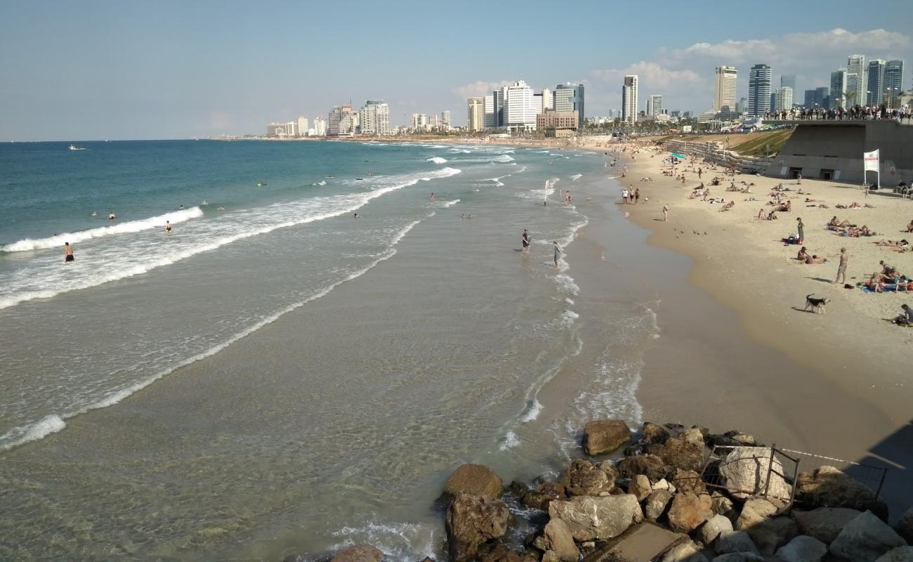 Photo of Charles Clore beach with bright fine sand surface