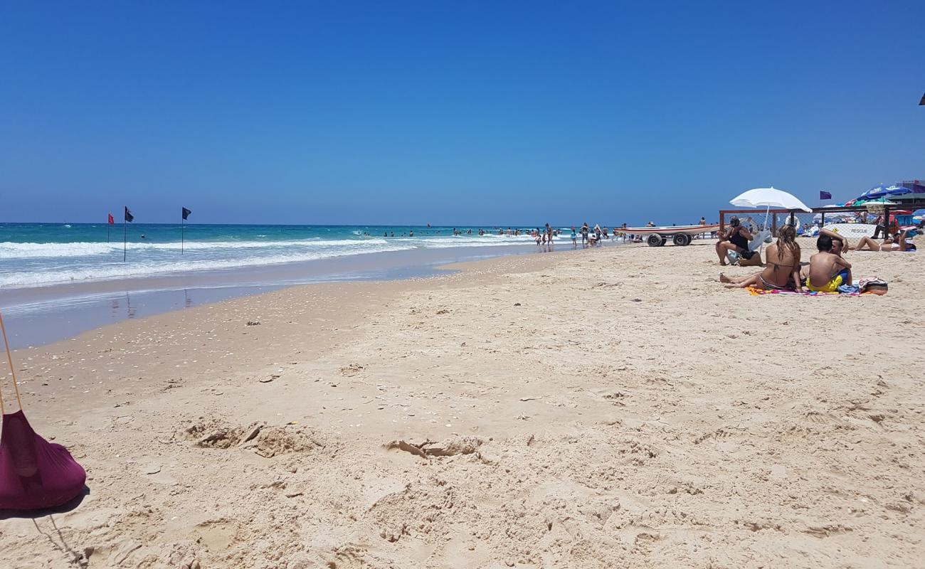 Photo of Separated beach with bright fine sand surface