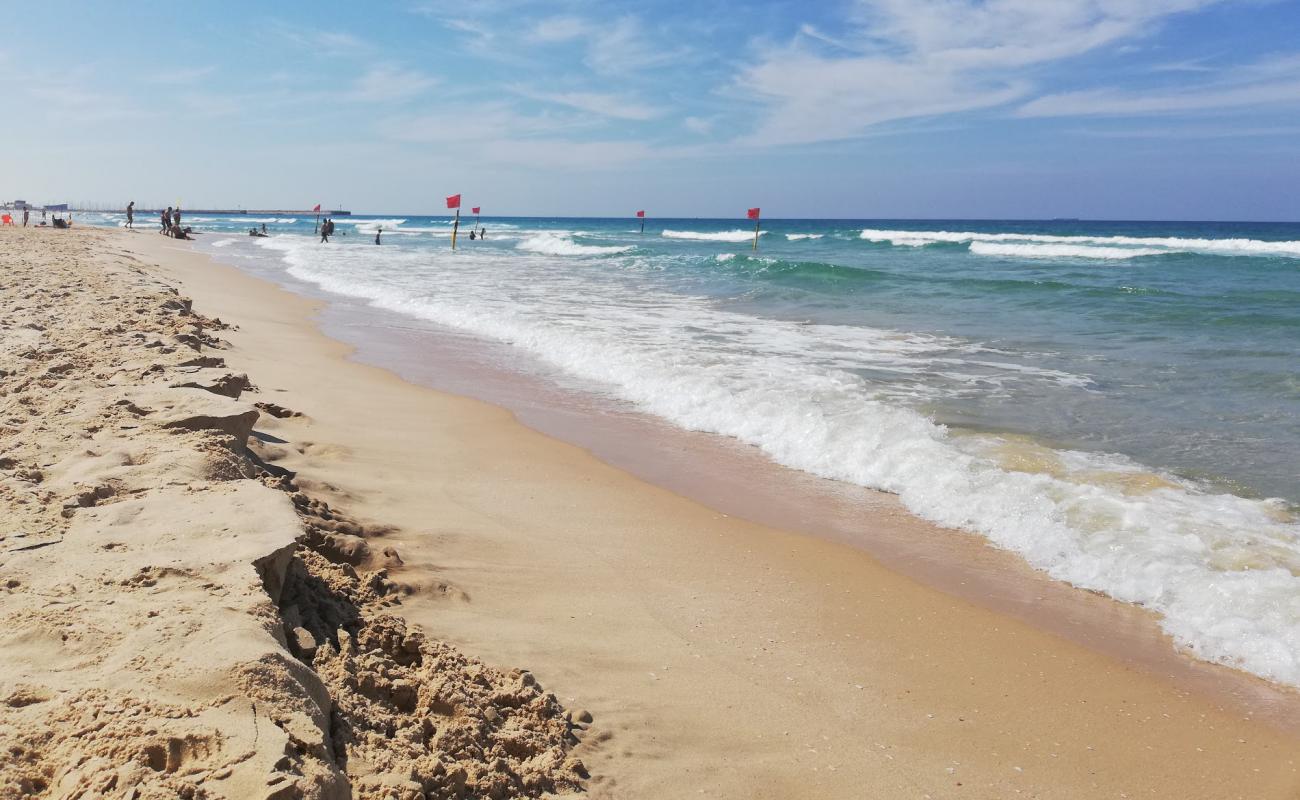 Photo of Oranim beach with bright fine sand surface