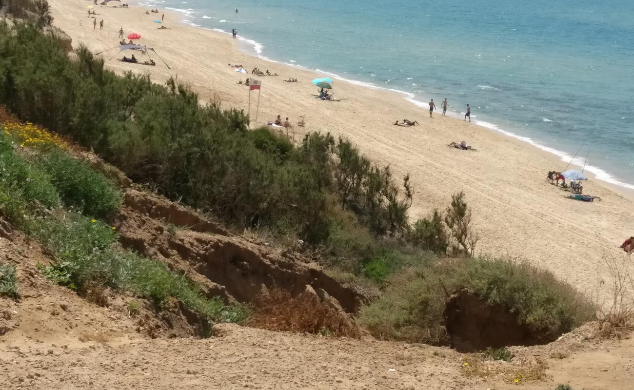 Photo of Hofit beach with bright fine sand surface