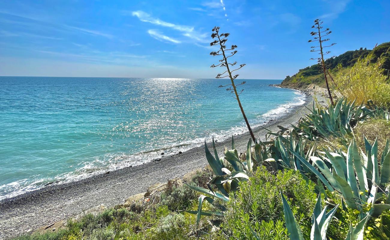 Photo of Arene dog beach with gray pebble surface