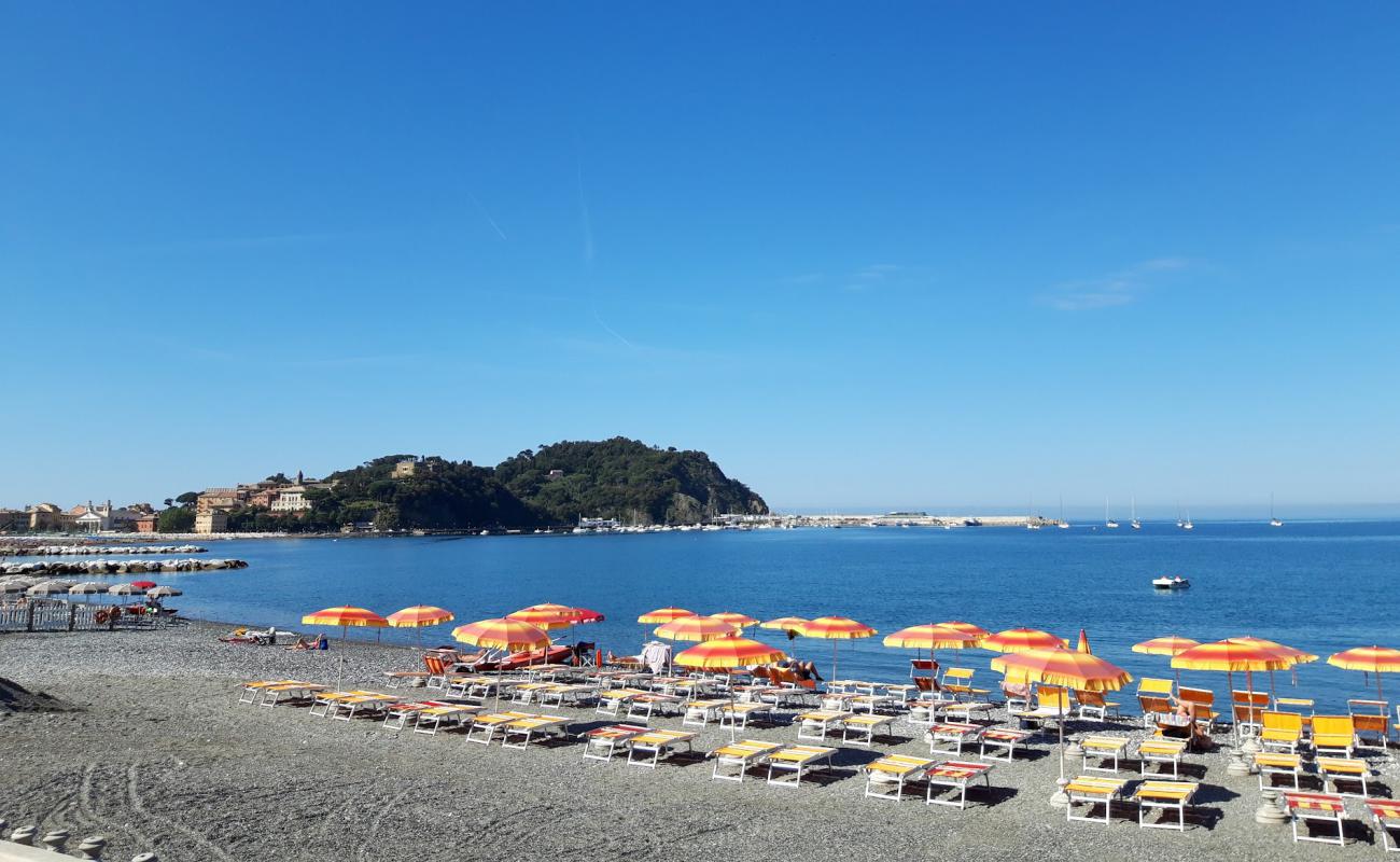 Photo of Spiaggia per cani with gray fine pebble surface