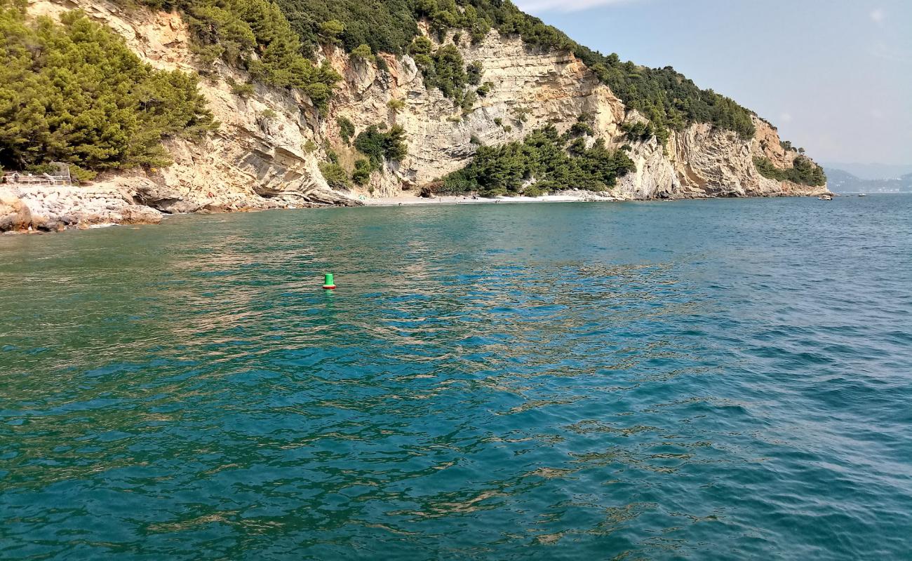 Photo of Pozzale beach with rocks cover surface