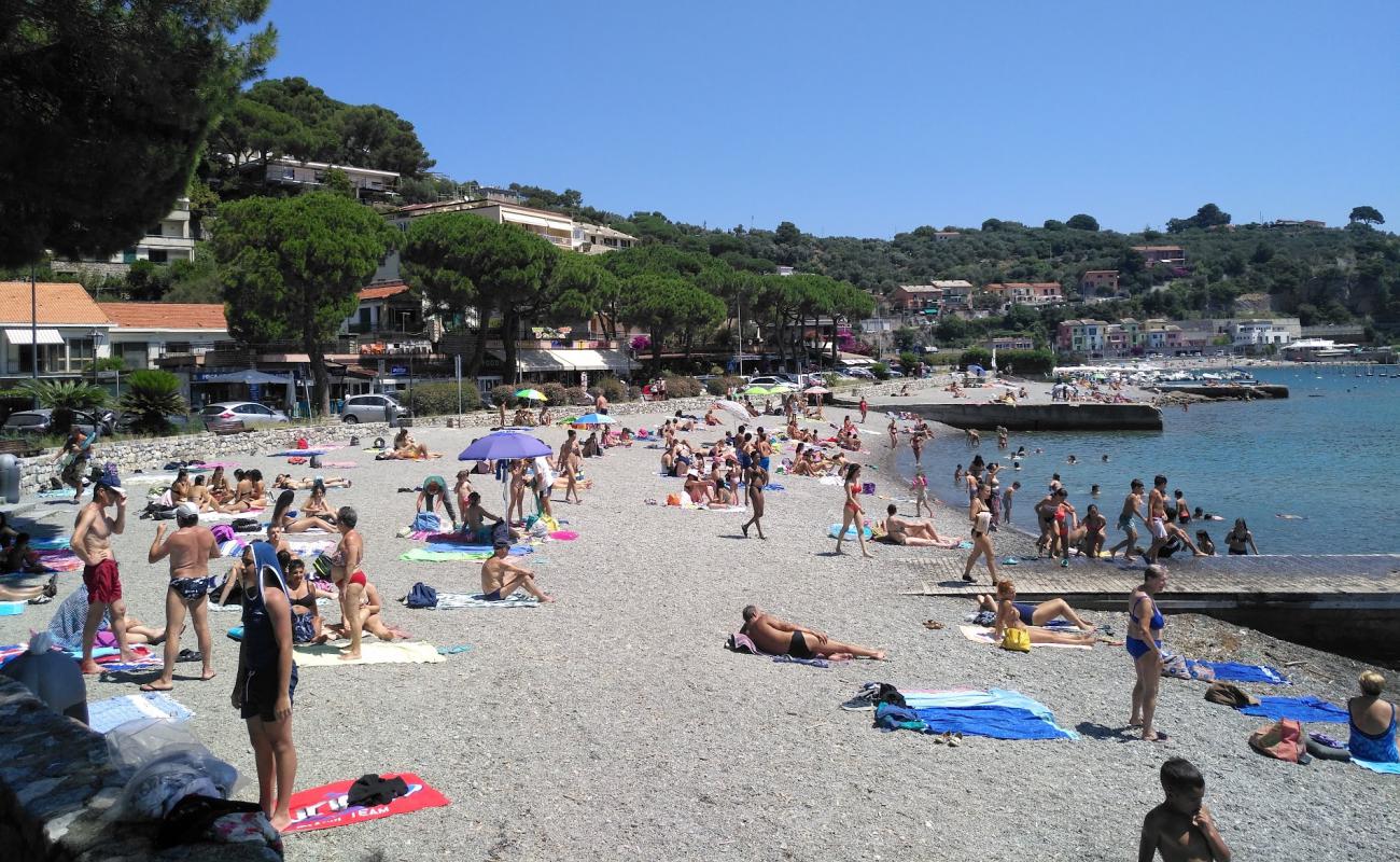 Photo of Olive beach with gray fine pebble surface