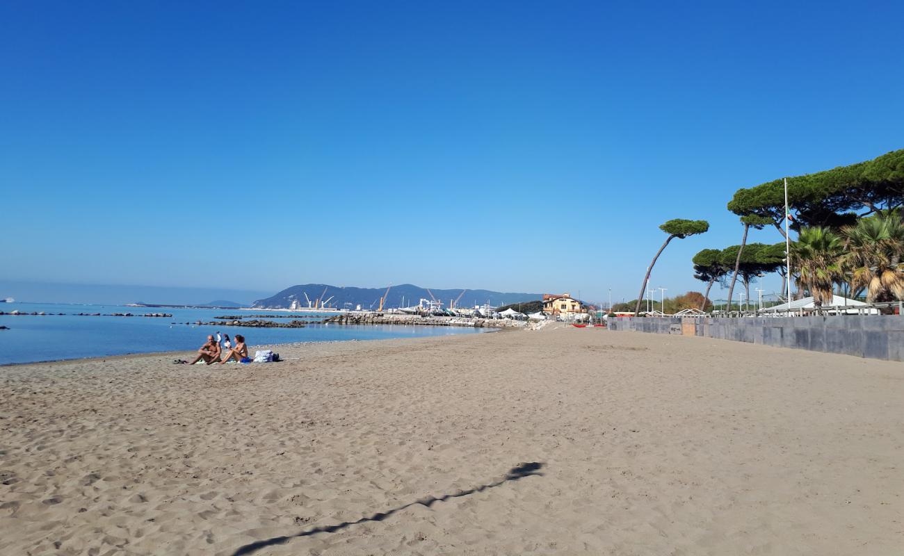 Photo of Marina di Massa with brown sand surface