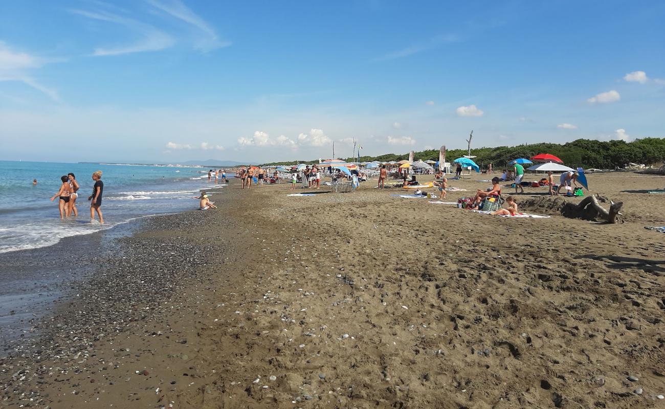 Photo of Spiaggia di Marina di Bibbona with brown sand surface