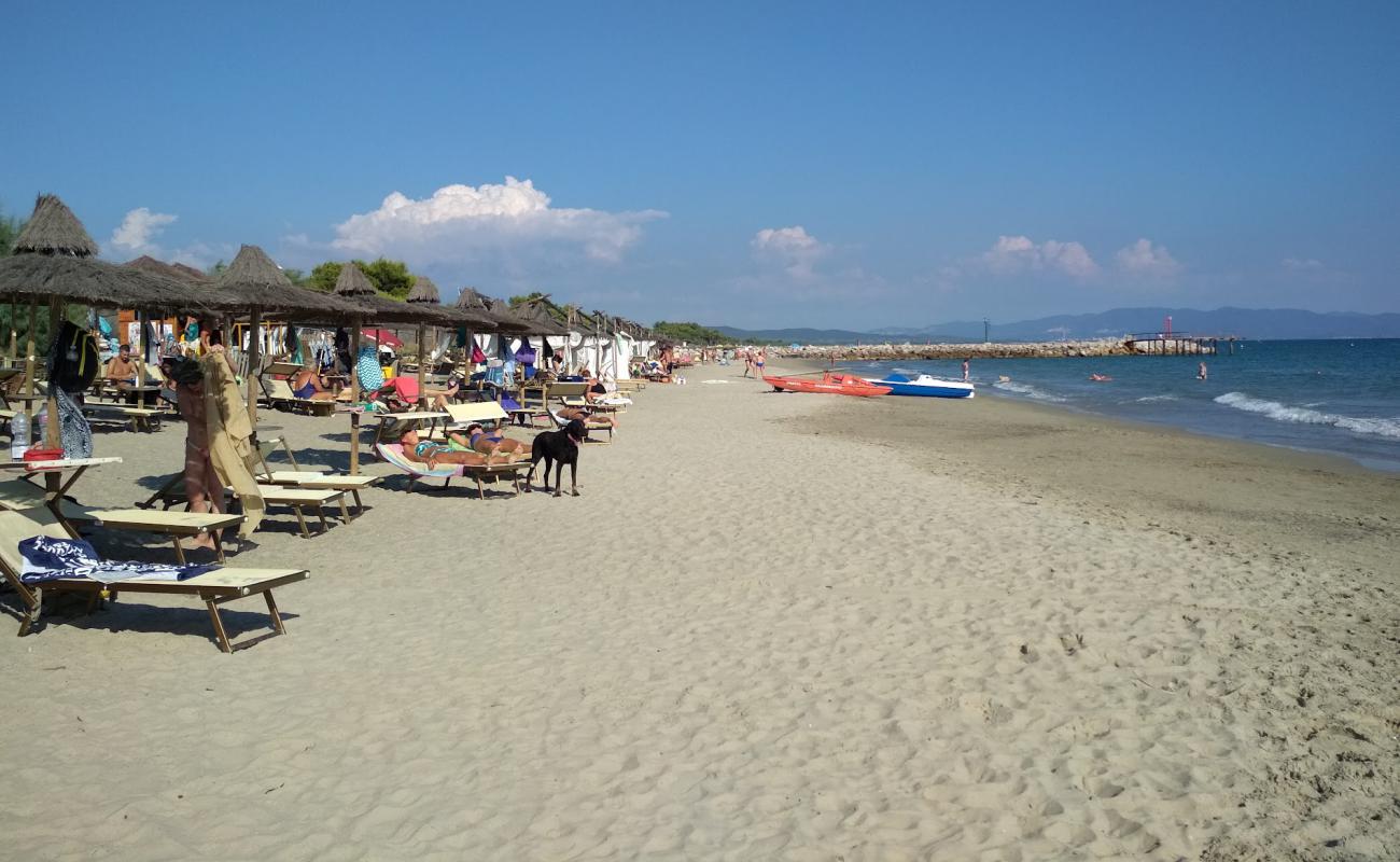 Photo of Carbonifera dog beach with brown sand surface