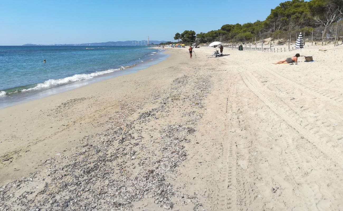 Photo of Carbonifera beach with brown sand surface