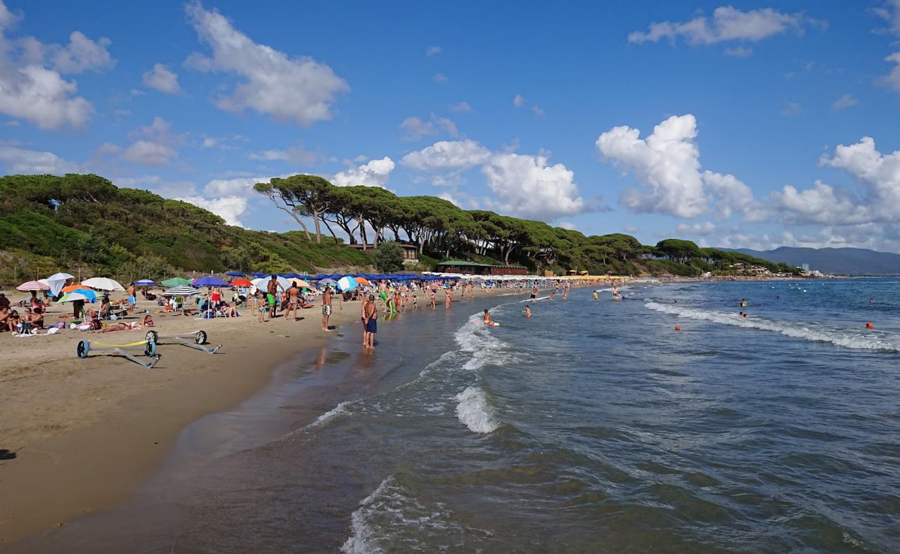 Photo of Follonica beach with brown sand surface