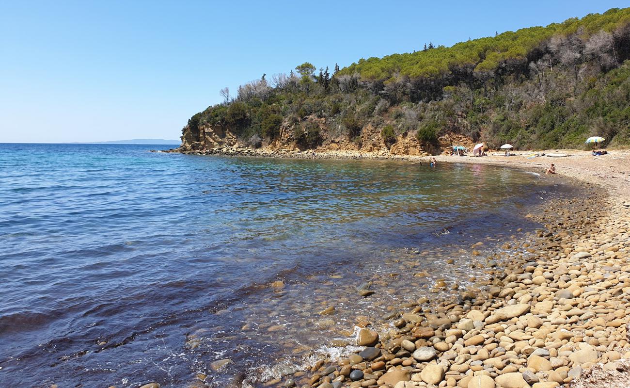 Photo of Cala Martina with rocks cover surface