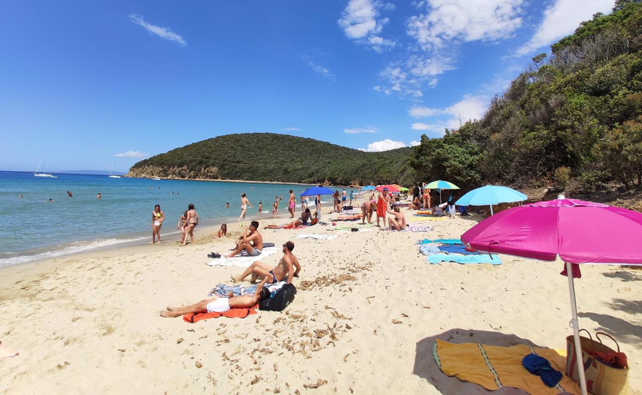 Photo of Cala Violina with brown sand surface