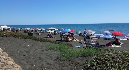 Ladispoli beach II