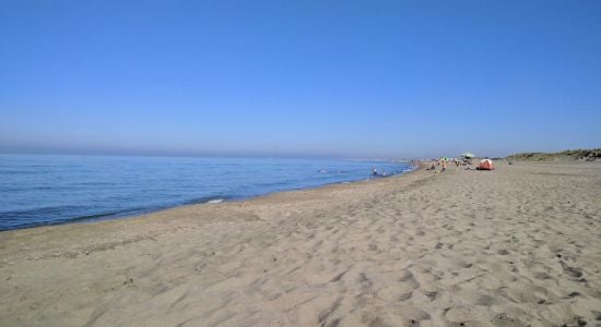 Castel Porziano beach