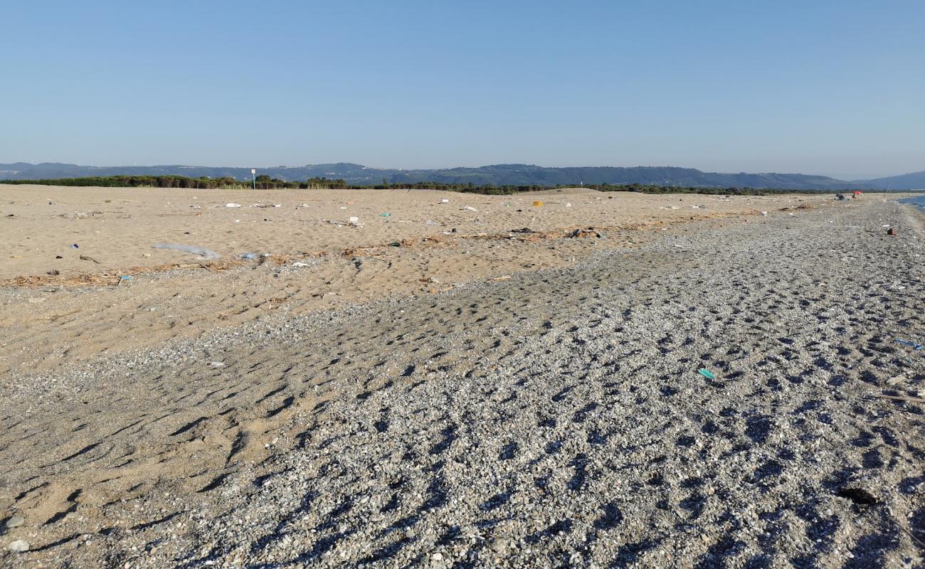 Photo of Maida Marina beach with gray sand surface