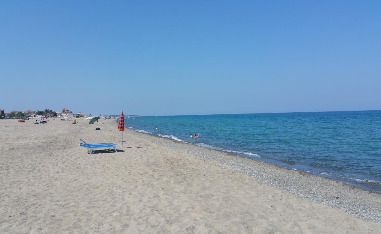 Photo of Garden beach with bright sand surface