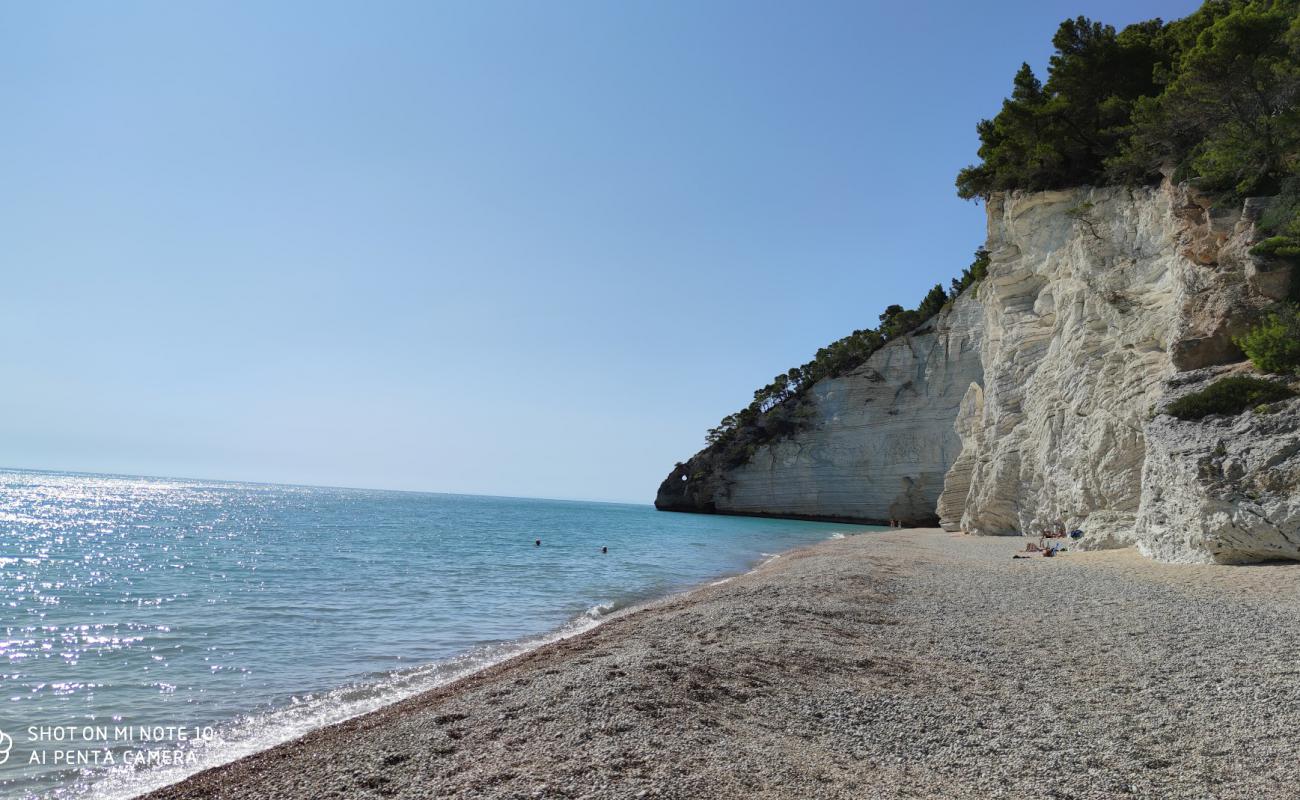 Photo of Vignanotica Beach with light fine pebble surface