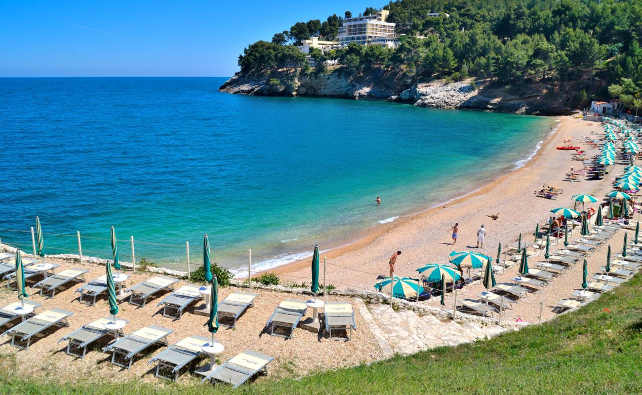 Photo of Pugnochiuso Beach with light fine pebble surface