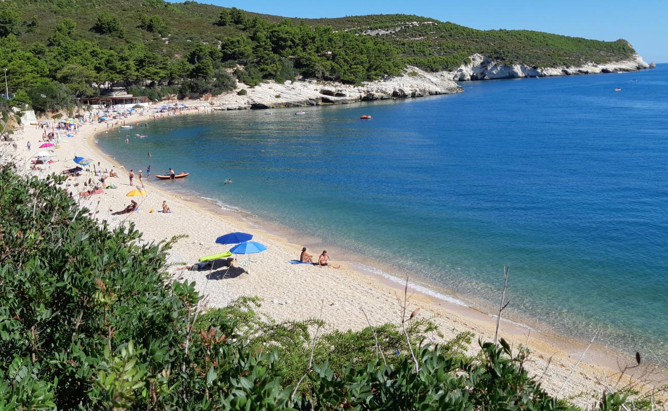 Photo of Baia di Campi with light fine pebble surface