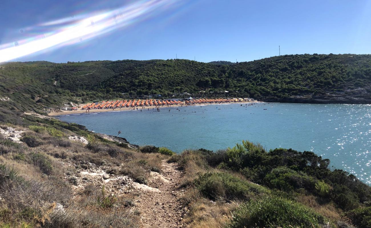 Photo of Spiaggia di Calalunga with brown fine sand surface