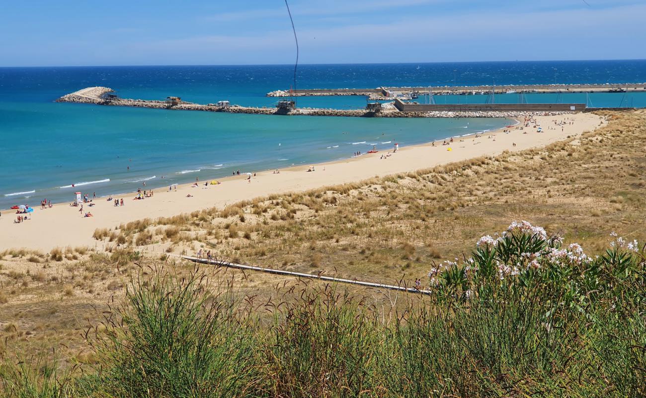 Photo of Spiaggia di Punta Penna with brown fine sand surface