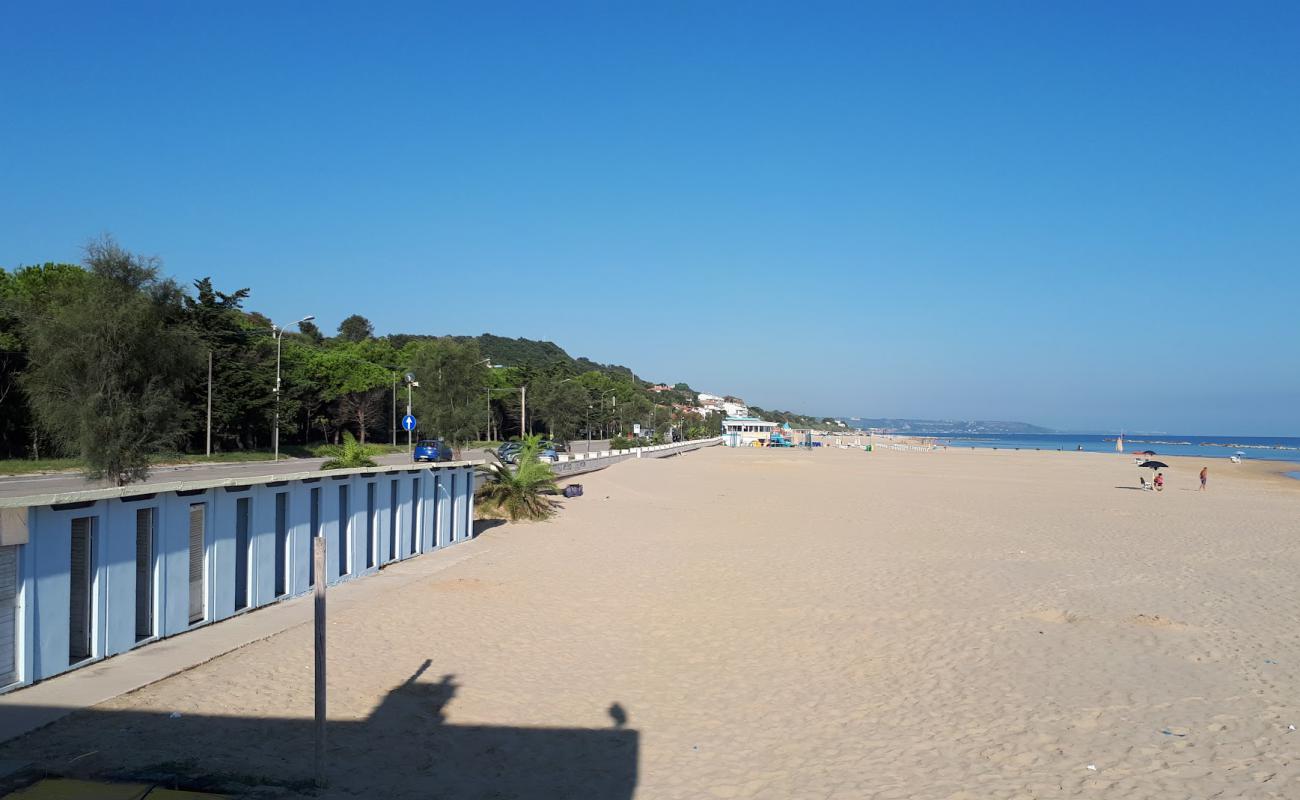 Photo of Spiaggia Le Morge with brown fine sand surface