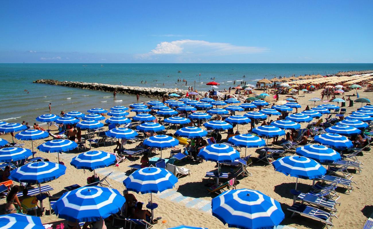 Photo of Paloma beach with bright fine sand surface