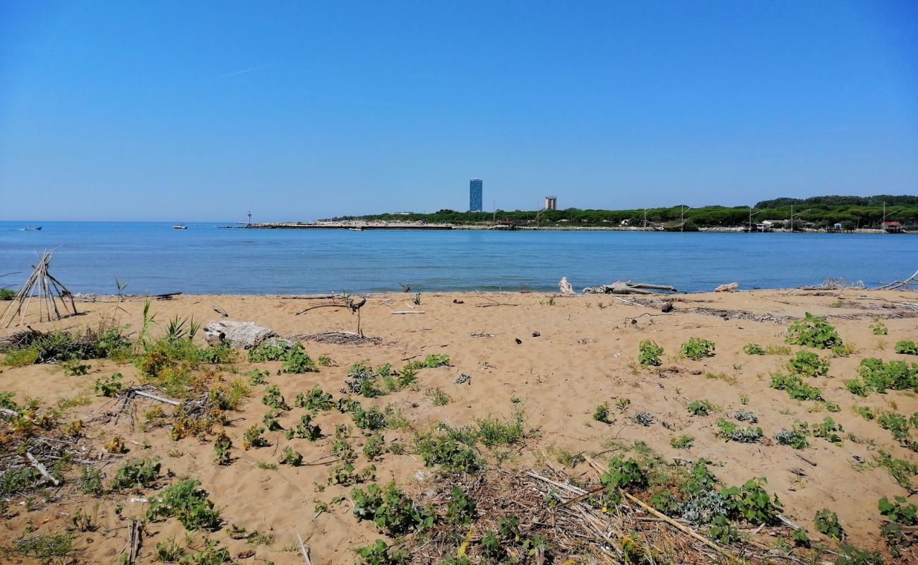 Photo of Mort beach with bright sand surface