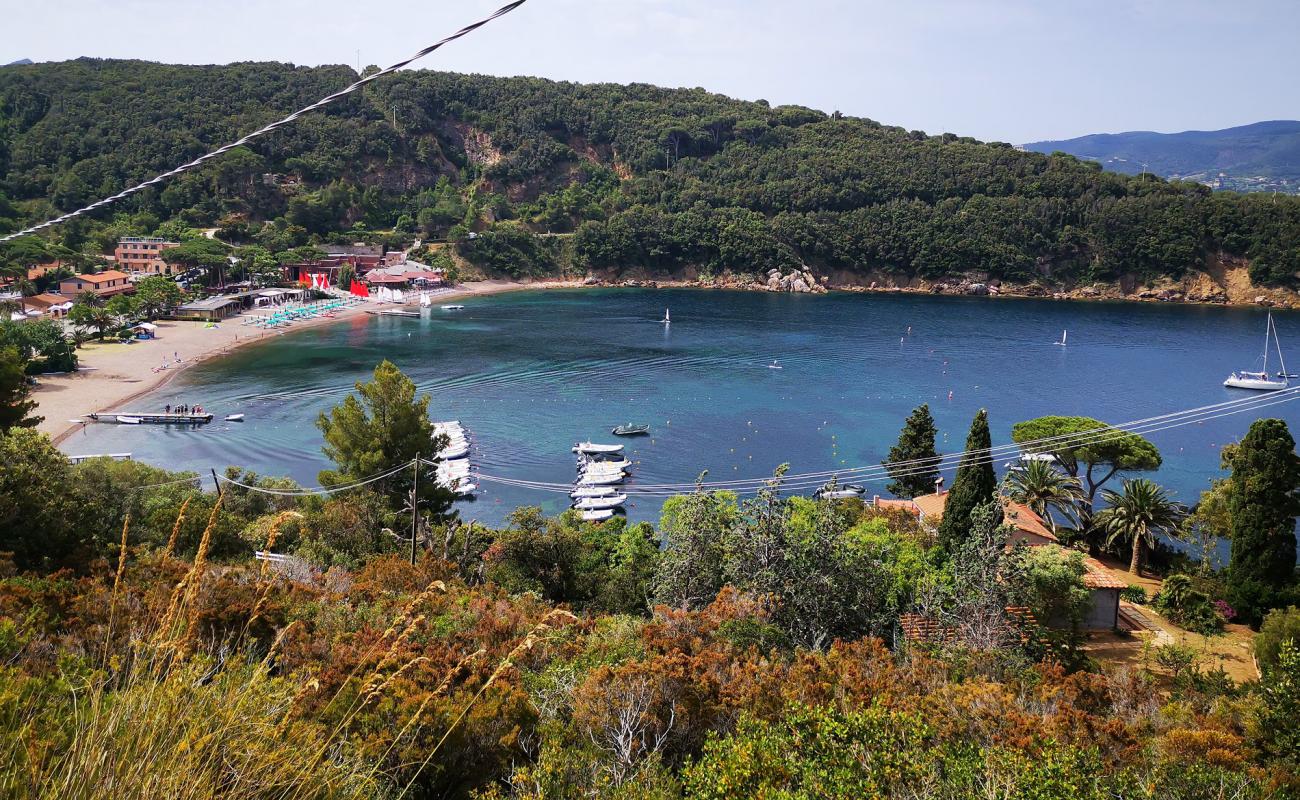 Photo of Bagnaia beach with gray fine pebble surface