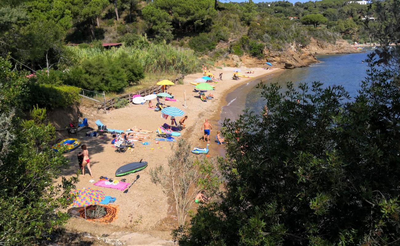 Photo of Ferrato beach with light fine pebble surface