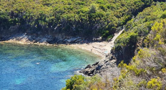 Punta Nera beach